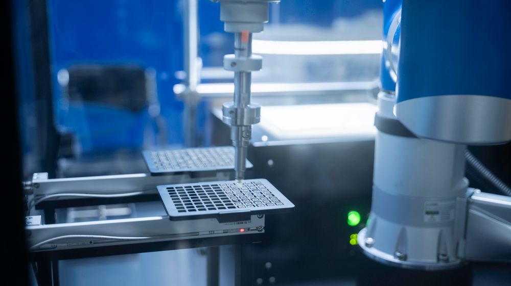 A collaborative robot arm positioning a perforated plate in a laboratory automation cell.